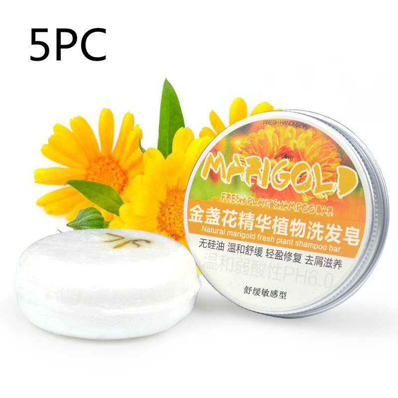 Ginger Skin Care Shampoo Conditioner Essential Oil Soap Nourishing - LuxeBloom