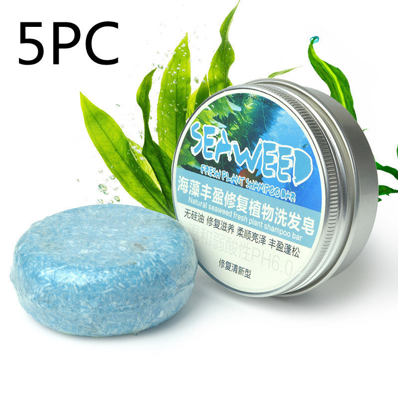 Ginger Skin Care Shampoo Conditioner Essential Oil Soap Nourishing - LuxeBloom