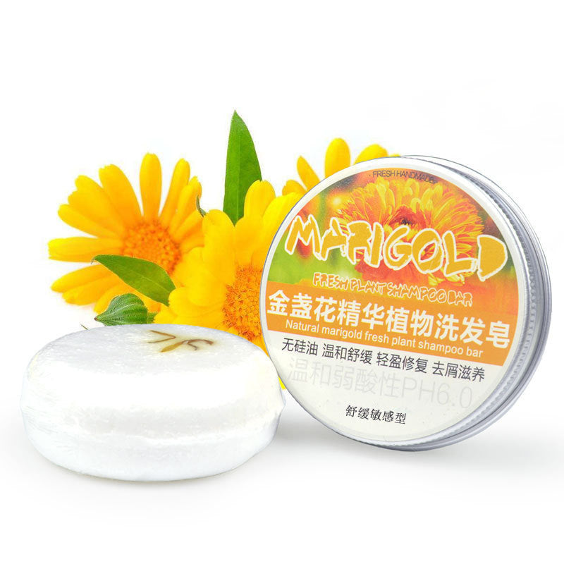 Ginger Skin Care Shampoo Conditioner Essential Oil Soap Nourishing - LuxeBloom